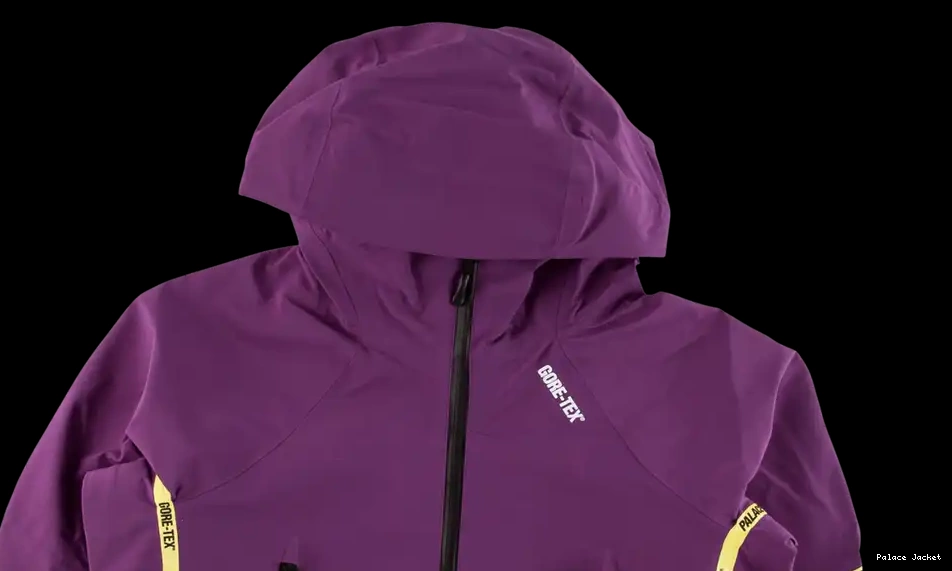 Affordable Palace Palex Gore-Tex Jacket 0516